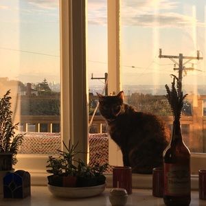 Meet your Posher, Olivia